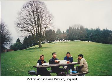 Picnic together