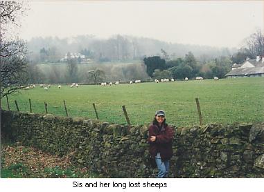 Sis' sheeps