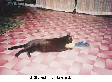 Mr. Sky and his drinking habit