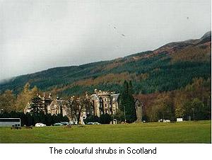 View of Scotland