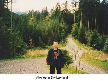 Swiss Alpines